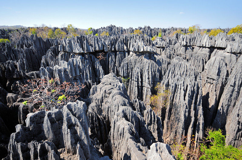 马达加斯加的Tsingy de Bemaraha